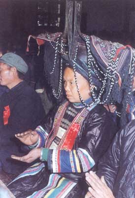 006yao.jpg