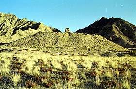 pic5.jpg