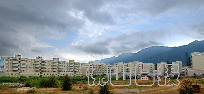 123.jpg