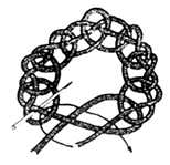 j9.jpg