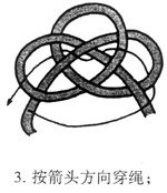 l3.jpg