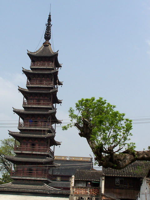 pic3.jpg