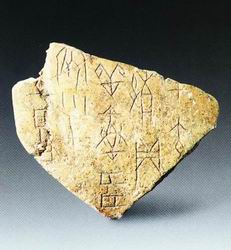 pic2.jpg