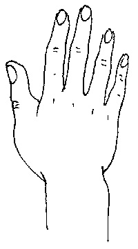 shou2.jpg