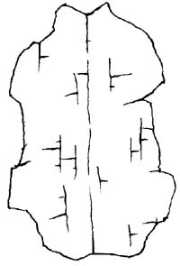 bu2.jpg