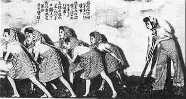 krtu35.jpg