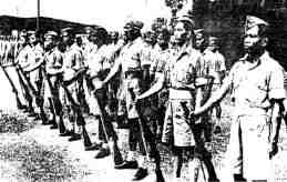 krtu181.jpg