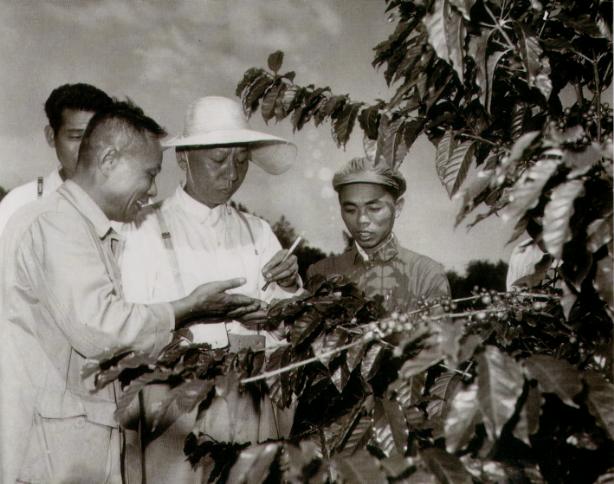 liushaoqi.JPG