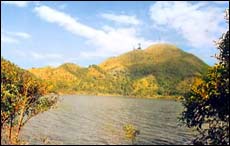 xinyi2.jpg