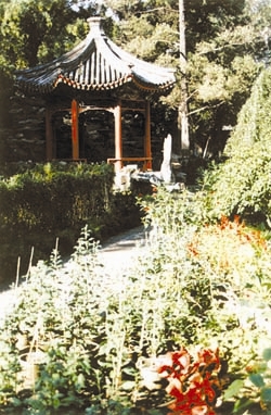 daguanyuan5.jpg