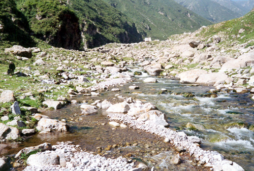 05.jpg
