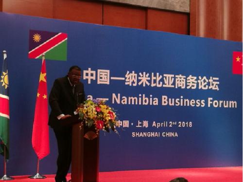 中国侨网纳米比亚总统根哥布出席论坛活动并致辞
