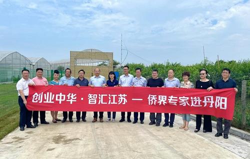 中国侨网(江苏省侨联网站)