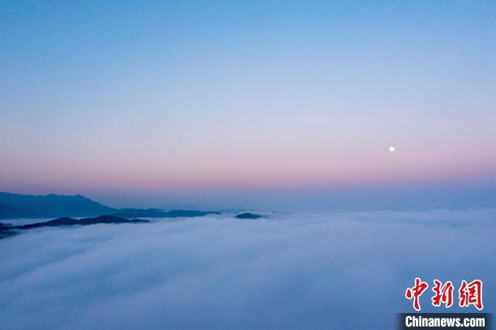 中国侨网11月28日，在贵州省从江县丙妹镇大塘村拍摄的云海月落景观。吴德军 摄