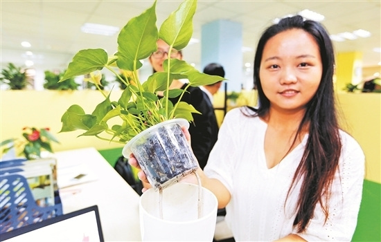仰恩大学学生创业基地中,学生设计制作了免浇水花盆。(林劲峰