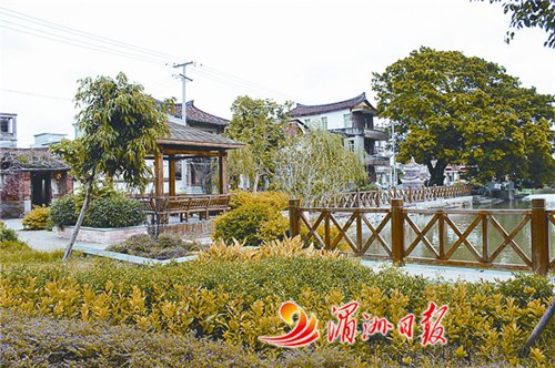图为该村休闲公园一角。
