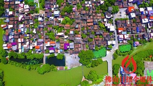 中国侨网佛山南海区九江镇烟桥村四面环水,是珠三角典型水乡。经过活化后,现在烟桥村越来越呈现宜居宜游的人文风情,去年烟桥村游客约1.5万人次,比2014年增加50%。/佛山日报记者龙翔用无人机航拍