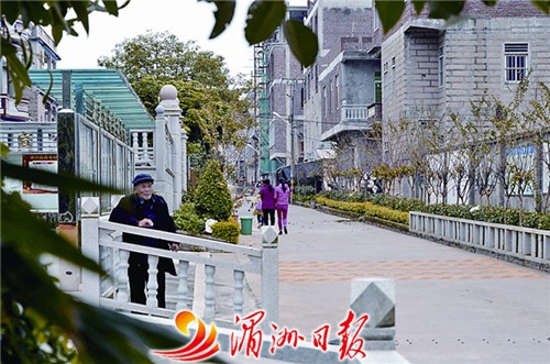 中国侨网村民行走在美丽后巷村绿色村道上。