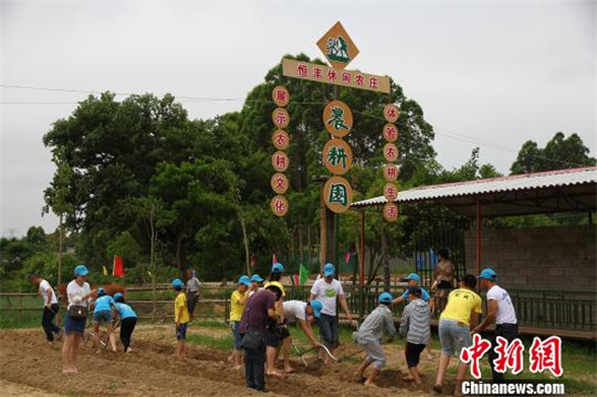 中国侨网晋江市首届农业嘉年华活动将于2016年12月26日至2017年1月18日举办　牛效礼　摄