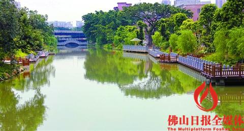 中国侨网实行“河长制”的禅城丰收涌改造升级后水环境得到改善，入选最近评选出的“佛山十大最美河湖”。/佛山日报资料照片