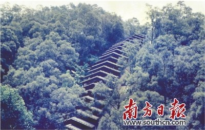 中国侨网1985年拍摄的笔架山宋代龙窑。潮州市博物馆供图