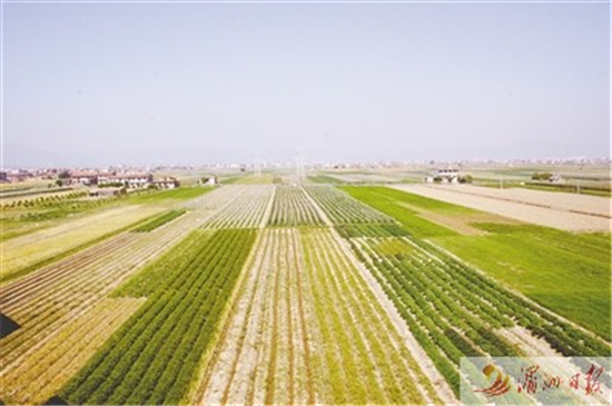 中国侨网图为黄石镇实施万亩土地整治项目，带动农业生产提质增效。