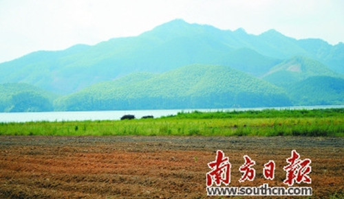中国侨网广东开平孔雀湖国家湿地公园的建设有助于优化水质，保障开平市区及周边镇近45万人的饮用水源安全。潘伟珊 摄