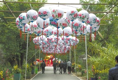 中国侨网首届温州迎春自贡灯会吸引众多市民前往体验。 赵用 摄