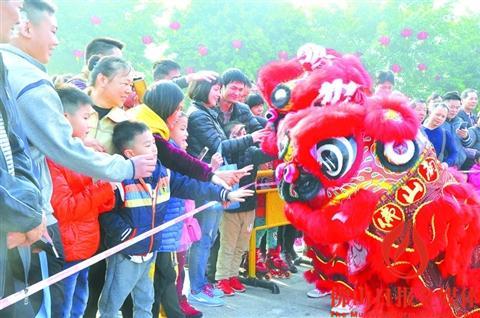中国侨网在三水大塘新春活动中，市民游客争相摸狮头。/佛山日报记者杨立韵摄