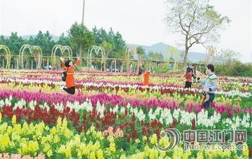 中国侨网游客在香家堡梦幻花世界景区开心地拍照留念。