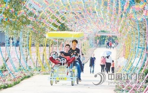 中国侨网春节期间，游客踩着双人单车游览恩平香家堡梦幻花世界。 陈明思 摄