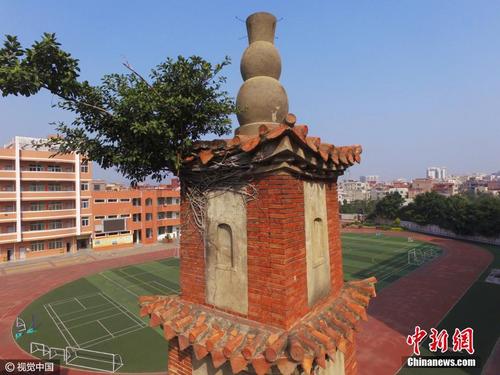 中国侨网位于安海成功中心小学内的星塔 图片来源:视觉中国