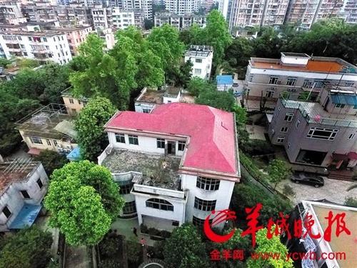 中国侨网广州华侨新村 图片来源:羊城晚报