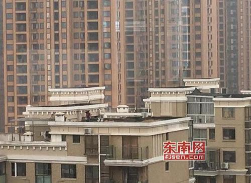 中国侨网祥荣荔树湾小区(网友供图)