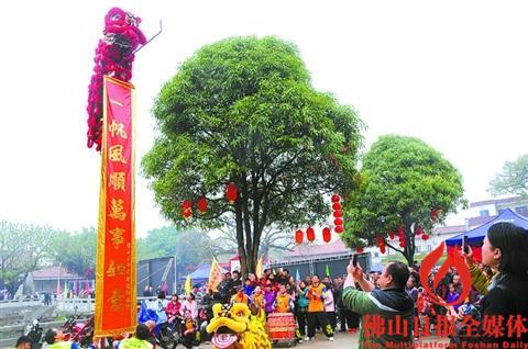 中国侨网洪圣庙会期间，精彩的醒狮表演，吸引众多市民观看。
