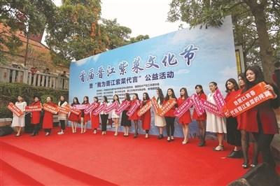 中国侨网活动现场，美女代言团成为一道靓丽风景线。