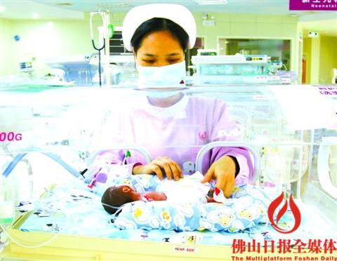 中国侨网护士正在照顾出生体重只有600克的女婴。 佛山日报记者骆苏艳　通讯员卢敏摄