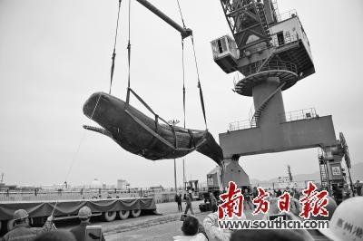 中国侨网抹香鲸在惠州港被接到陆地。南方日报记者 王昌辉 摄