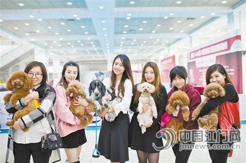 中国侨网靓女与宠物犬合影。