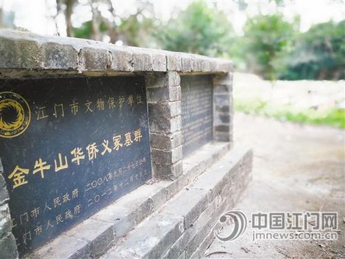 中国侨网金牛山华侨义冢于2001年5月被发现，约1500穴，2008年9月被列为江门市市级文物保护单位。