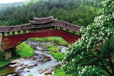中国侨网去年秋天被台风冲毁的文兴桥,很快又会重现在这山花烂漫的溪涧之上。 萧云集 摄