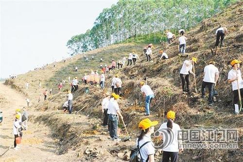 中国侨网活动当天，500多人种下树木约4500株。图为热火朝天的活动现场。