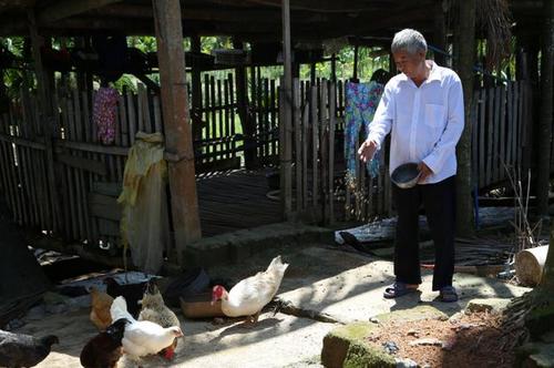 中国侨网在小院饲养家禽。