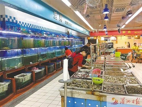 中国侨网