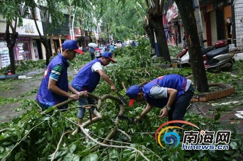 中国侨网台风过后,志愿者在万宁街头清理倒树断枝。