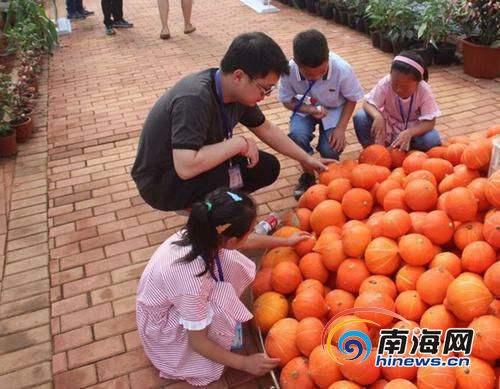 中国侨网航天育种的果蔬花卉，吸引了众多游客参观。（图片来源：南海网）