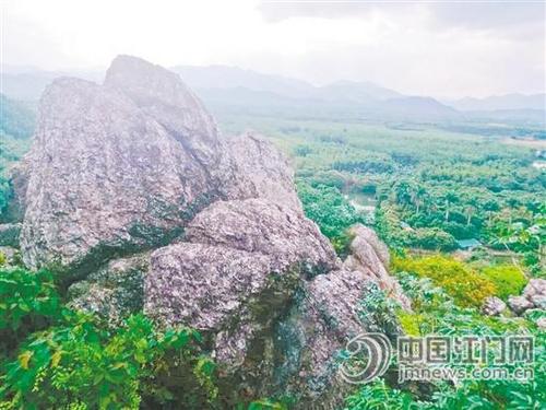 中国侨网石山上的石头呈沧桑多变之美。陈明思 郑伟峰 摄