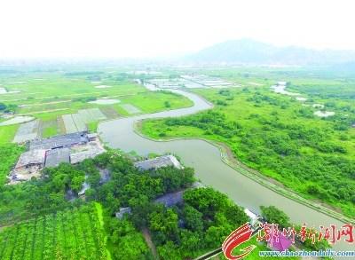 中国侨网整治后的十板桥溪周围环境干净整洁,水面清澈明净。 陈晓珊 陈秋晓 摄