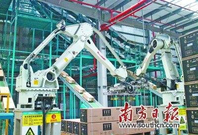 中国侨网在“一带一路”倡议全速推进过程中,江门应把握住发展机遇,寻找新蓝海。戴惠甜 摄
