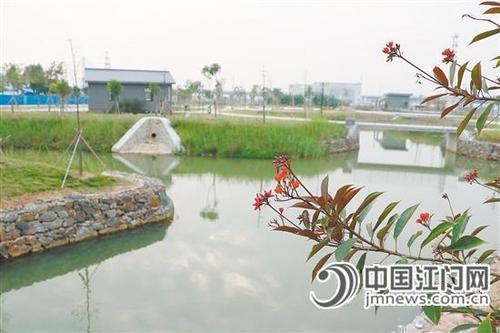 中国侨网小海河湿地公园为周边环境增色添彩。